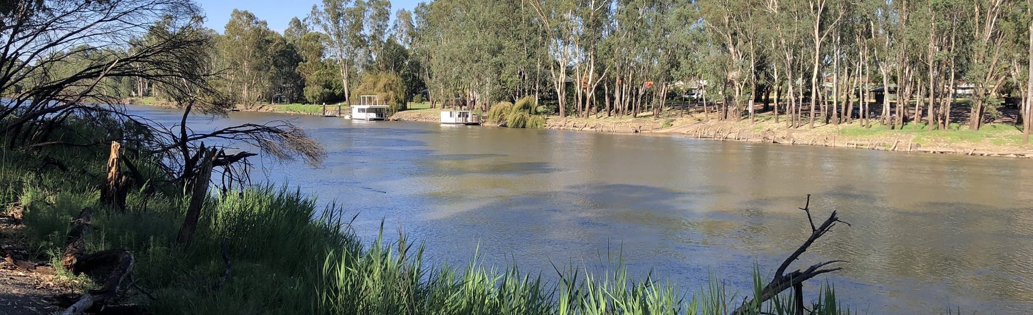 Wahgunyah Murray River Loop 5 Fotos Victoria, Australien AllTrails