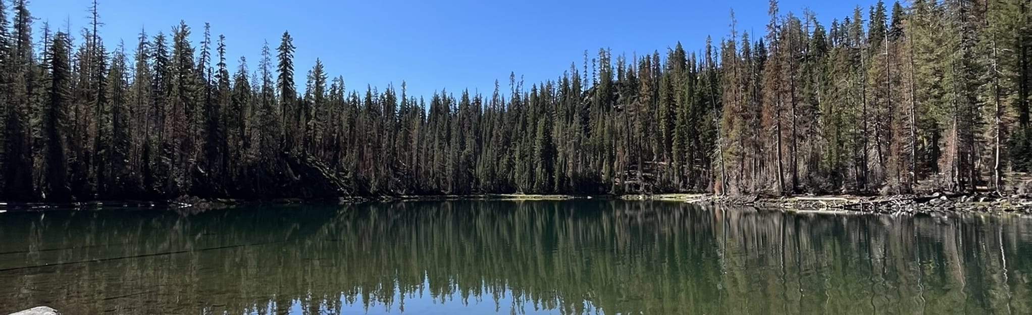 Rainbow Lake Trail, California 48 Reviews, Map AllTrails