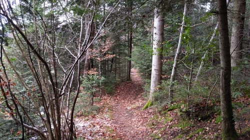 Nordrach - Mühlstein - Hasenberg