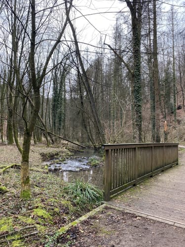 Herrenstrunden Bergisch-Gladbach Rundweg