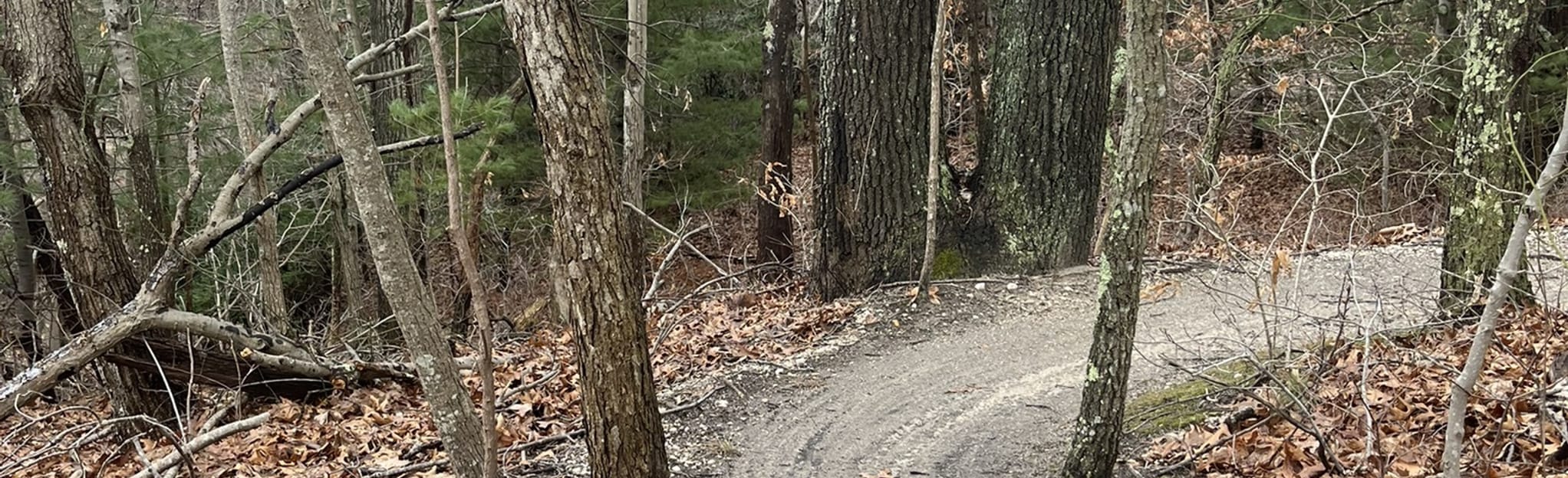 Meadowlark Trail, New York 866 Reviews, Map AllTrails