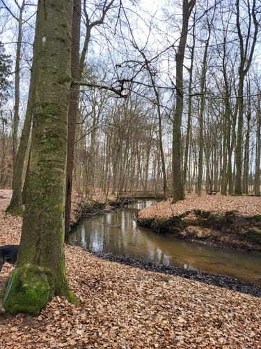 Rote Schleuse in Bockelsberg