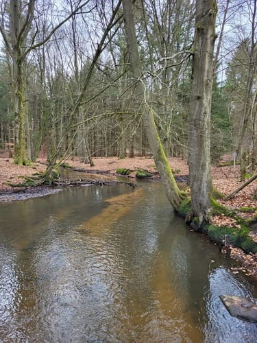 Rote Schleuse in Bockelsberg