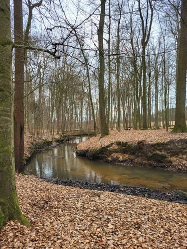 Rote Schleuse in Bockelsberg