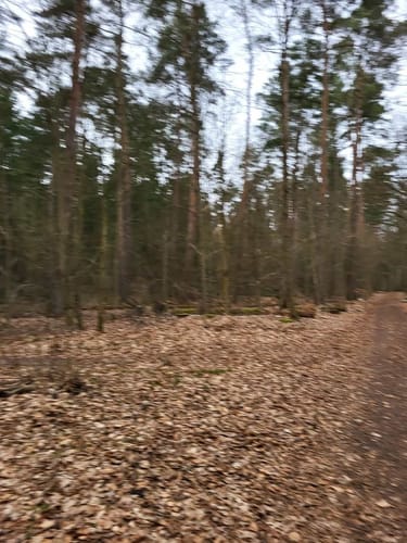 Rote Schleuse in Bockelsberg