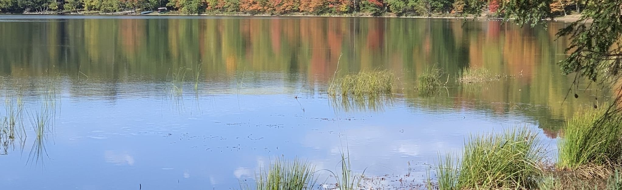 Lost Lake Loop Trail, Wisconsin 15 Reviews, Map AllTrails