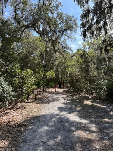 Best Hikes and Trails in Cumberland Island National Seashore | AllTrails