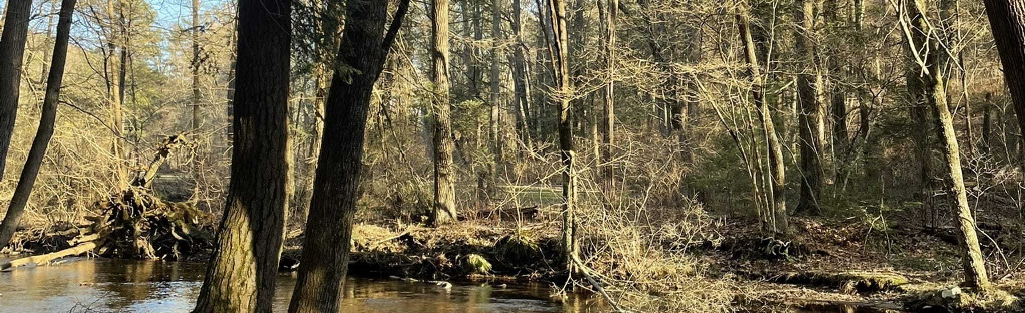 Greefenburg Hill and Conococheague Creek Loop Trail 66 Reviews, Map