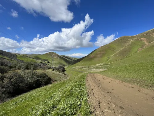 Black Diamond Mines Regional Preserve