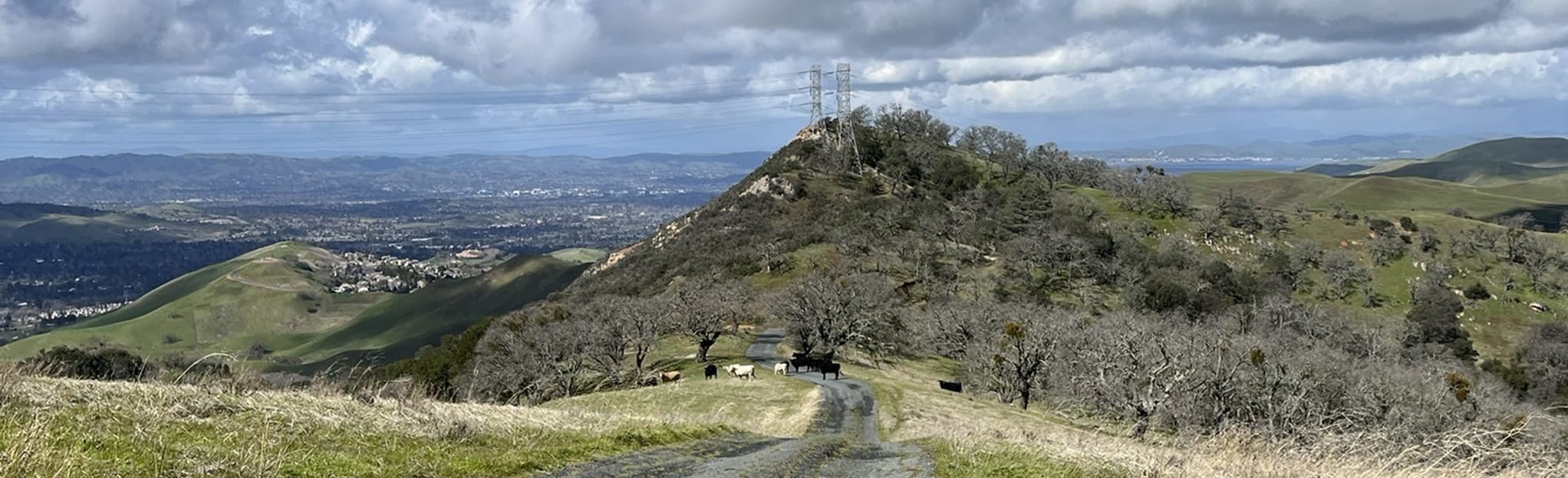 Nortonville and Black Diamond Loop California AllTrails