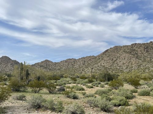 Best 10 Hikes and Trails in San Tan Mountain Regional Park | AllTrails