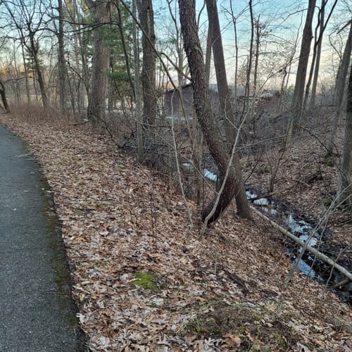 Best Hikes and Trails in Johnson Park AllTrails