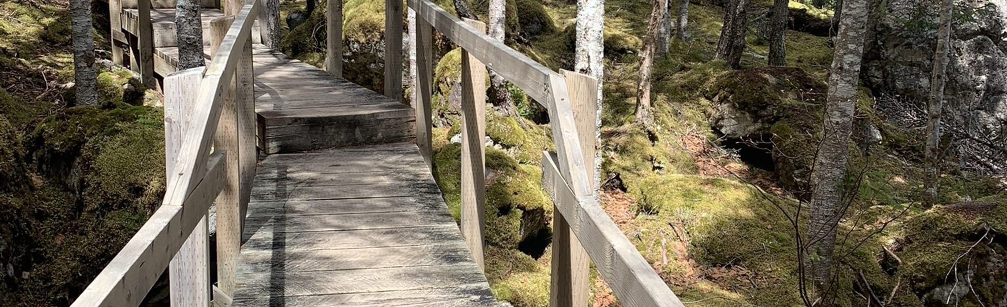 Rattling Brook Falls, Newfoundland and Labrador, Canada 47 Reviews