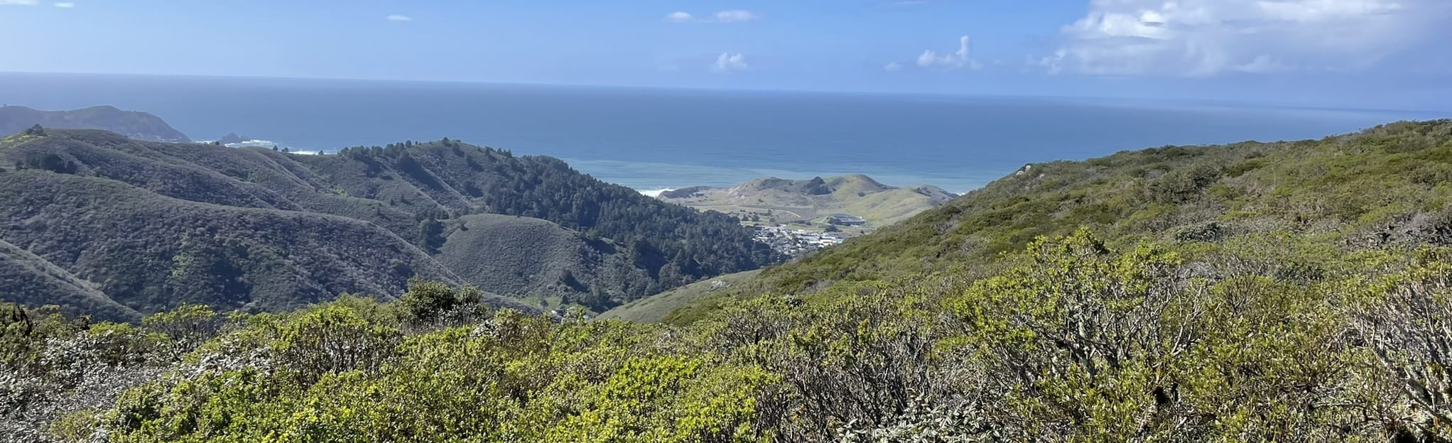 Skyline to Sweeney Ridge: 272 Reviews, Map - California | AllTrails