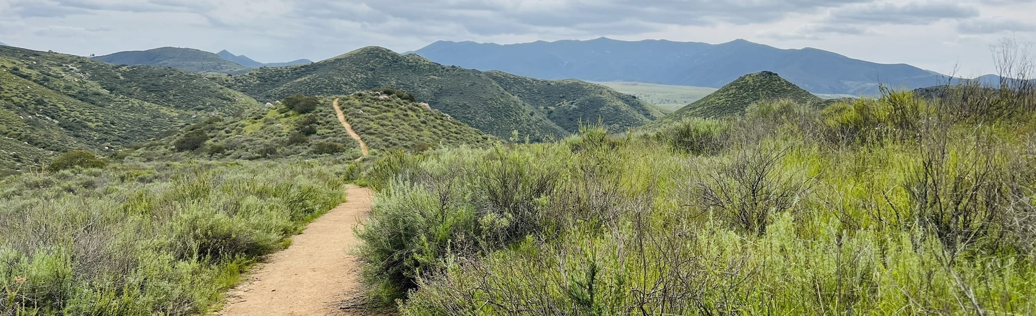 Honey Springs Trail and Daley Ranch Truck Loop Map, Guide