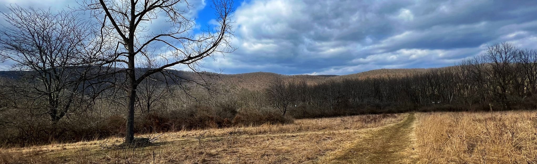 Pocawanachi Loop, Pennsylvania 64 Reviews, Map AllTrails