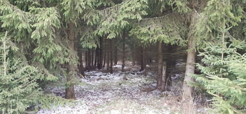 Eisenpark-Weg US 72