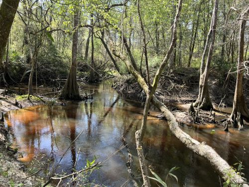 Best Hikes and Trails in River Creek Wildlife Management Area | AllTrails