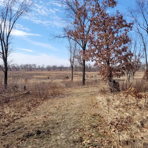 2023 Best Wild Flowers Trails in San Pierre AllTrails