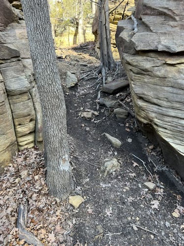 Escape to Oklahoma's Jewel: Washington Irving South Campground