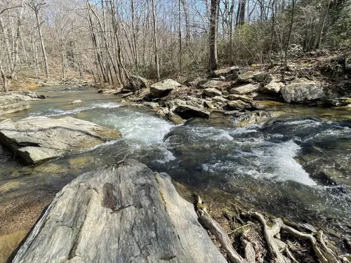 Best Hikes and Trails in Morgan Run Environmental Area