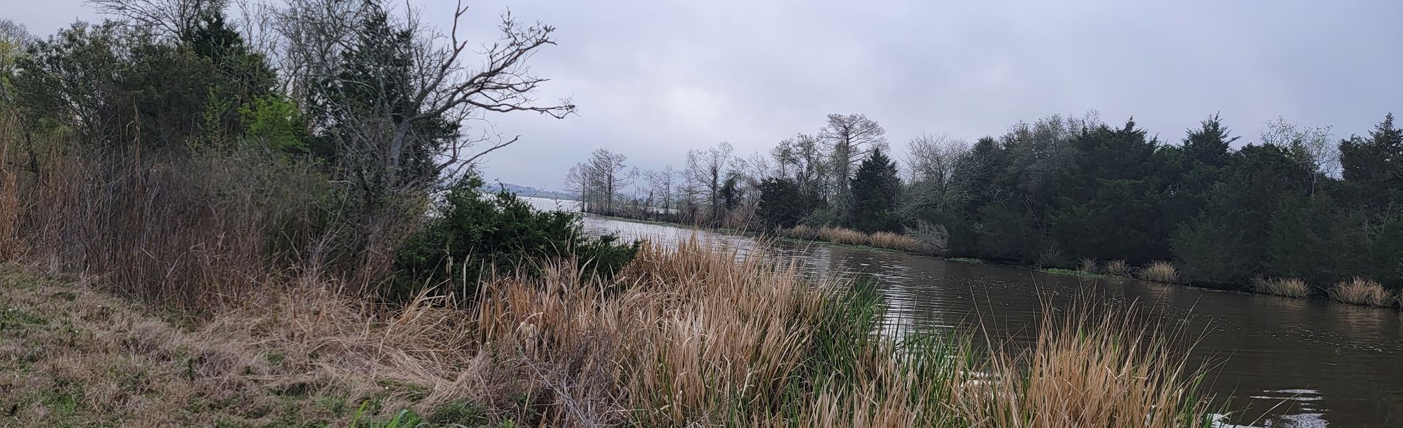 Lacassine National Wildlife Refuge, Louisiana - 7 Reviews, Map | AllTrails