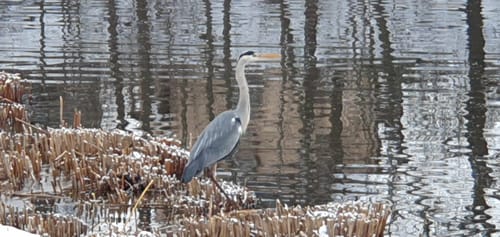 Glauchau Stausee