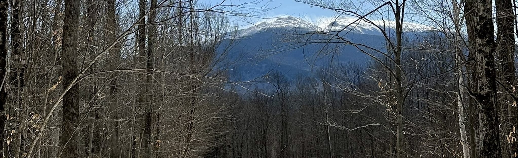 AllTrails Perimeter Path and Berry Farm Road 23 Reviews, Map New Hampshire