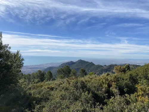 Best Walking Trails in Desierto de las Palmas Nature Park AllTrails