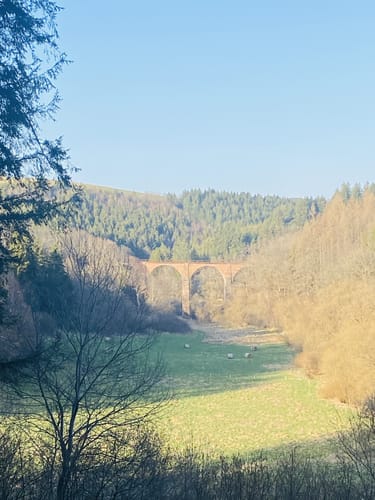 Königsfeldschleife (Traumschleife)