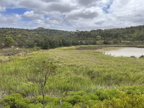 You Yangs MTB Variety Loop Victoria Australia 59 Reviews Map AllTrails