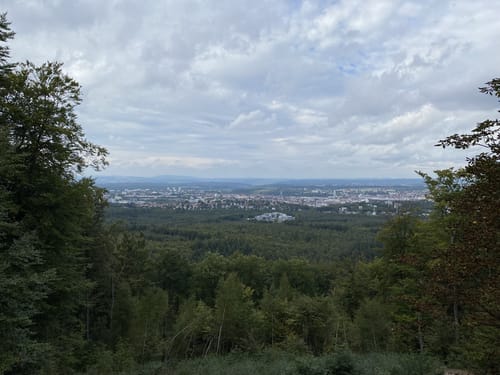 Vom Bremerhof zum Humbergturm
