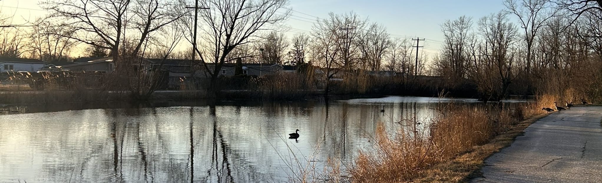 Sadler's Pond, Ontario, Canada 76 Reviews, Map AllTrails