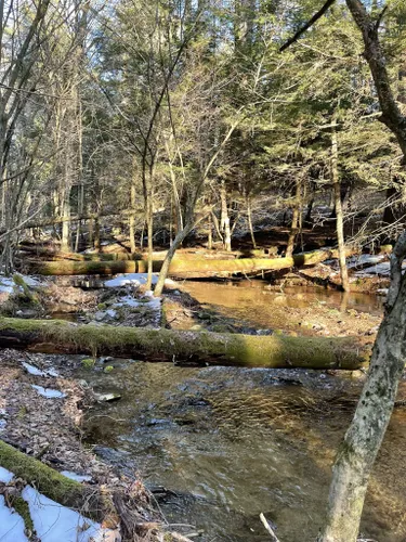 Best Hikes and Trails in Port Jervis Watershed Park And Recreation Area ...