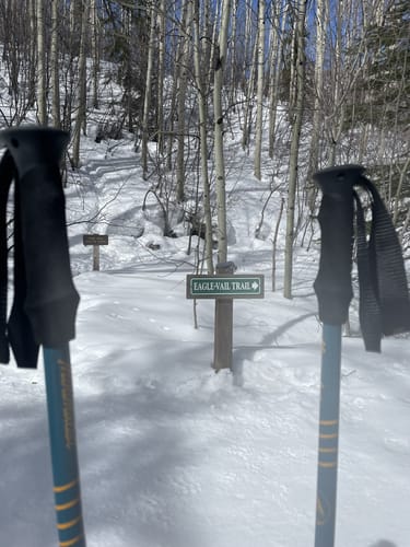 2023 Best Snowshoeing Trails in Vail | AllTrails