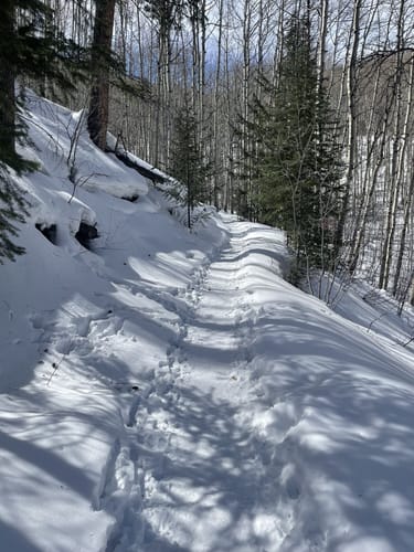 2023 Best Snowshoeing Trails in Vail | AllTrails