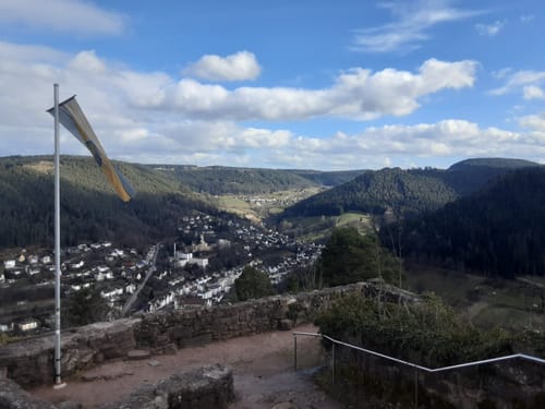 Von Tierheim zum Hohenschramberg