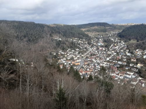 Von Tierheim zum Hohenschramberg