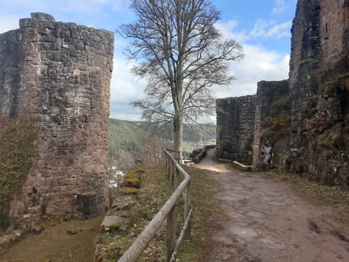 Von Tierheim zum Hohenschramberg