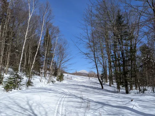 Best Wild Flowers Trails in Chittenden | AllTrails