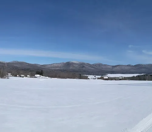 Best Wild Flowers Trails in Chittenden | AllTrails