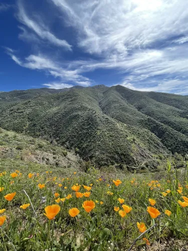 Best Waterfall Trails in Santa Monica Mountains National Recreation ...