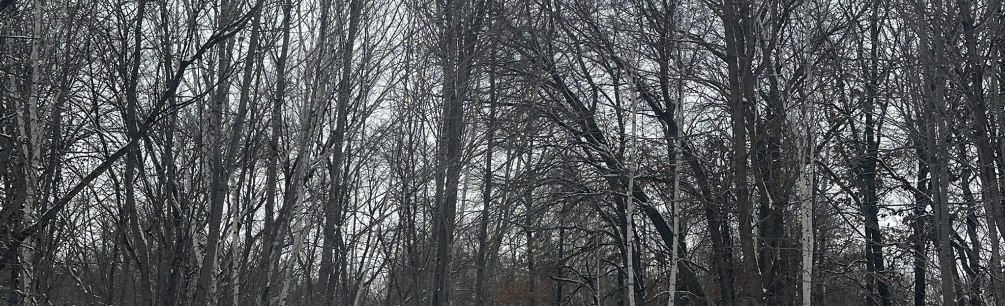 Springvale County Park Trail, Minnesota - 59 Reviews, Map | AllTrails