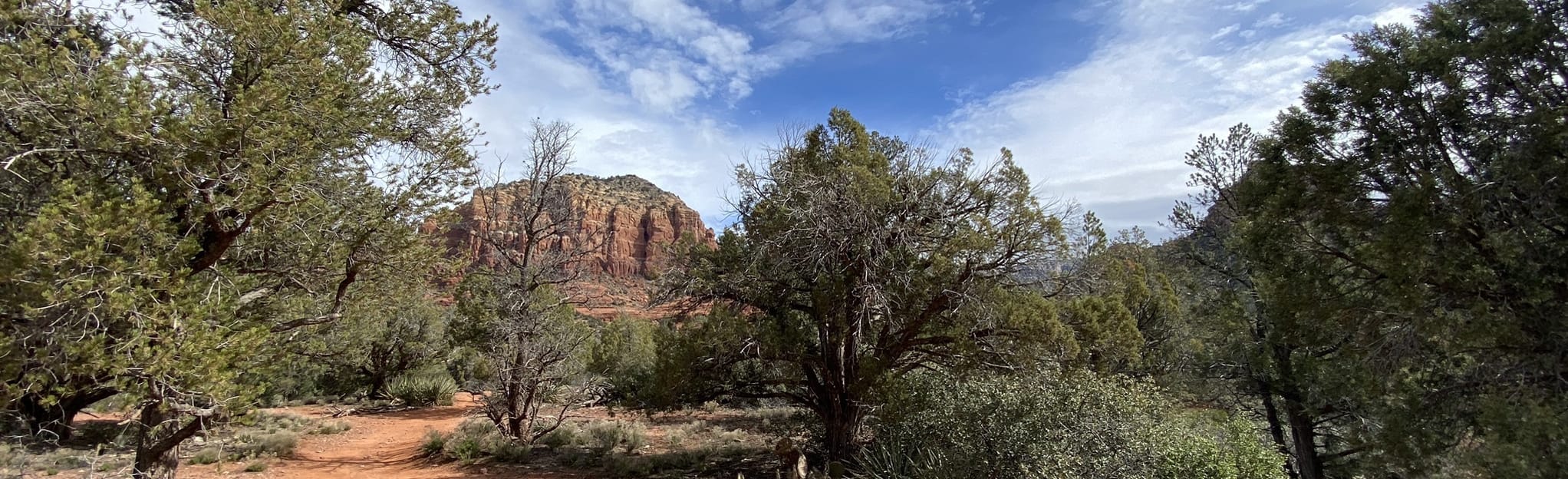 Little Horse Llama Bail and Bell - EyJidWNrZXQiOiJhc3NldHMuYWxsdHJhaWxzLmNvbSIsImtleSI6InVwbG9hZHMvcGhvdG8vaW1hZ2UvNTcyMDAzODAvNGJjMjg5MDUzOWRlMzBmYjE4M2RjNmNlMWEyNjRkOTAuanBnIiwiZWRpdHMiOnsidG9Gb3JtYXQiOiJqcGVnIiwicmVzaXplIjp7IndpZHRoIjoyMDQ0LCJoZWlnaHQiOjYyNCwiZml0IjoiY292ZXIifSwicm90YXRlIjpudWxsLCJqcGVnIjp7InRyZWxsaXNRdWFudGlzYXRpb24iOnRydWUsIm92ZXJzaG9vdERlcmluZ2luZyI6dHJ1ZSwib3B0aW1pc2VTY2FucyI6dHJ1ZSwicXVhbnRpc2F0aW9uVGFibGUiOjN9fX0=