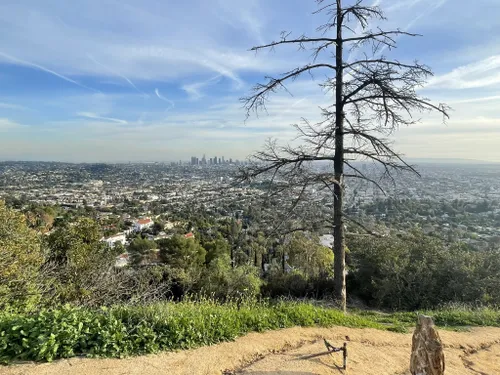 Trails in Griffith Park, Los Angeles, California, United States 57210588 | AllTrails.com