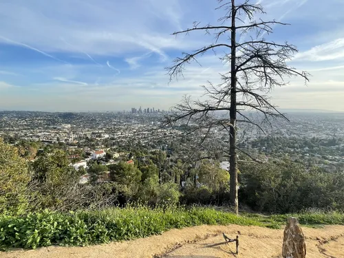 6 Best Hikes And Trails in L.A. to Get Outdoors and View the City