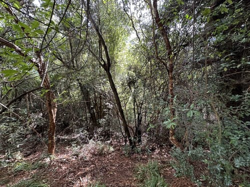 Best Hikes and Trails in De Hel Nature Area | AllTrails