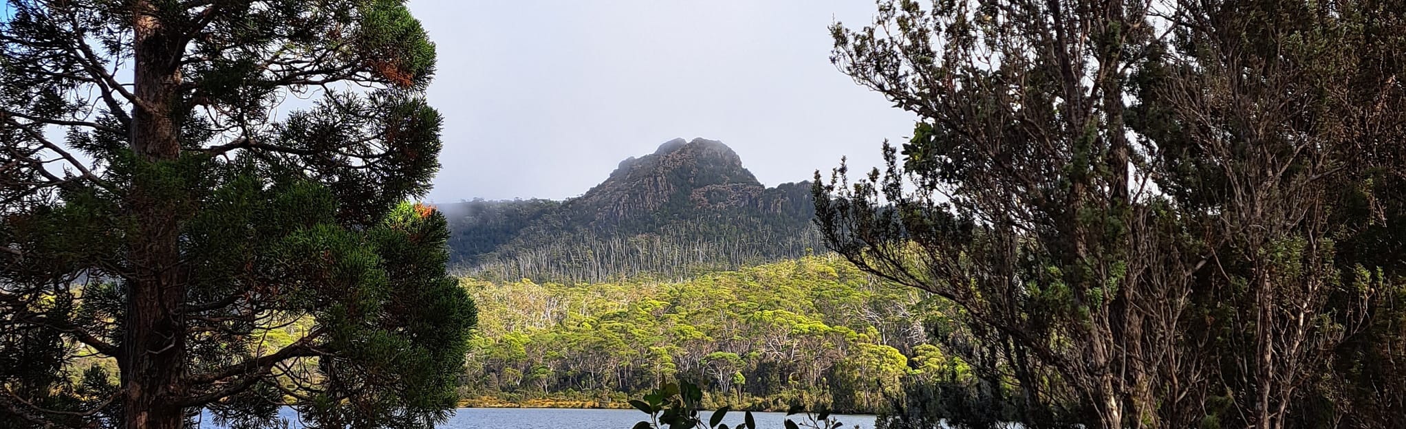 Mount Rufus and Little Hugel Loop: 122 Reviews, Map - Tasmania ...