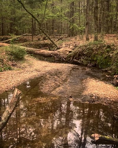 Best Hikes and Trails in Chautauqua Park | AllTrails