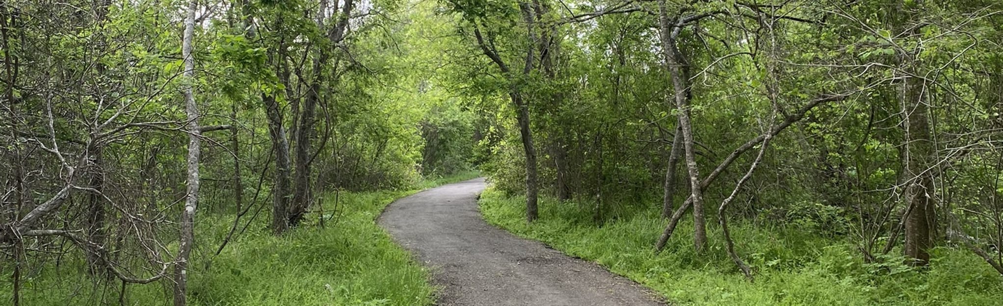 Goliad State Park River Trail 70 Reviews, Map Texas AllTrails